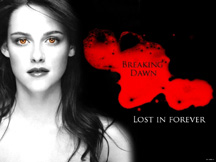 Breaking Dawn continues the Twilight series with great success