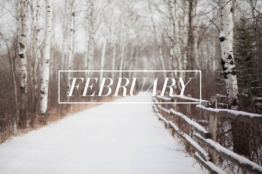 Fantastic February Vacations