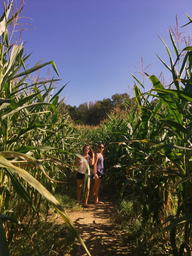 Senior Catarina Sanches (left) and junior Rafaela Fernandes pose in the middle of the Randalls Farm corn maze.