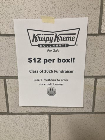 Freshmen Class Hosts Fundraiser
