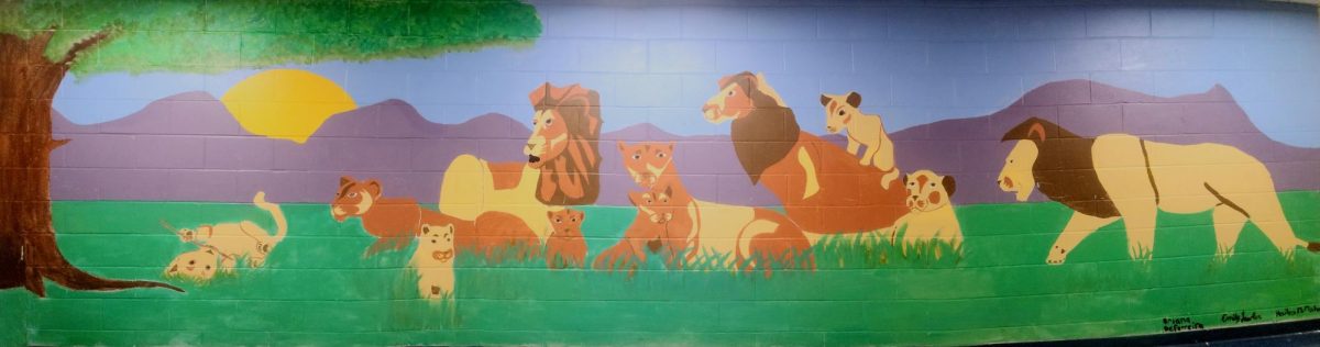 Transforming Walls into Canvases: