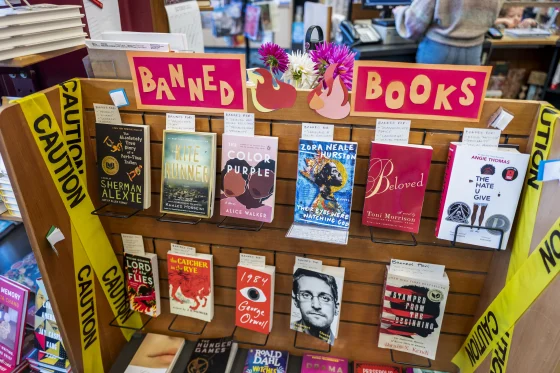 Censorship on the Rise:
