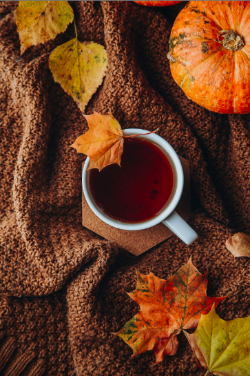 Fall Activities to Enjoy this Season